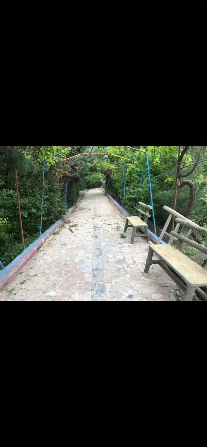 باغ در روستای ده غیبی امام رضا ۱۰ انتهای کوچه|فروش خانه و ویلا|ملک‌آباد, |دیوار
