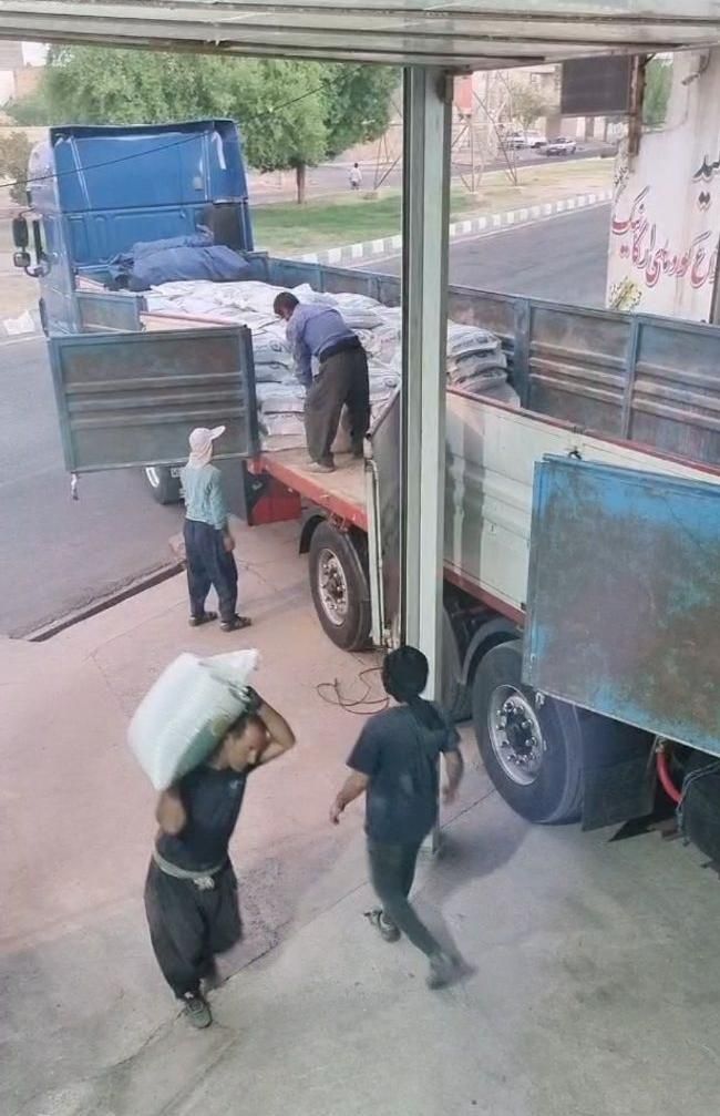 پخش کود کآمل به قیمت تولید اصلی|خدمات باغبانی و درختکاری|اندیمشک, |دیوار