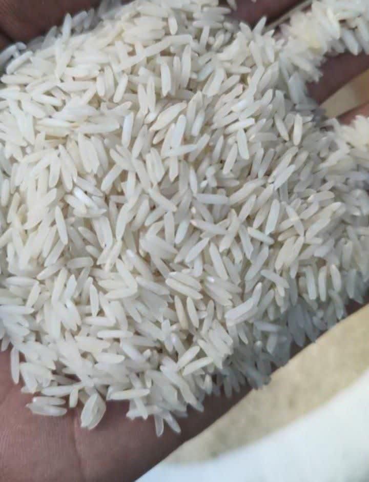 برنج طارم و برنج خوشپخت مزرعه|خوردنی و آشامیدنی|مبارکه, |دیوار