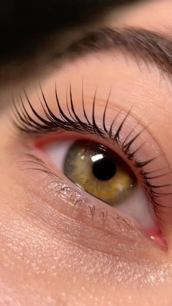 آموزش لیفت و لمینت مژه و ابرو|خدمات آموزشی|اصفهان, شهرستان|دیوار