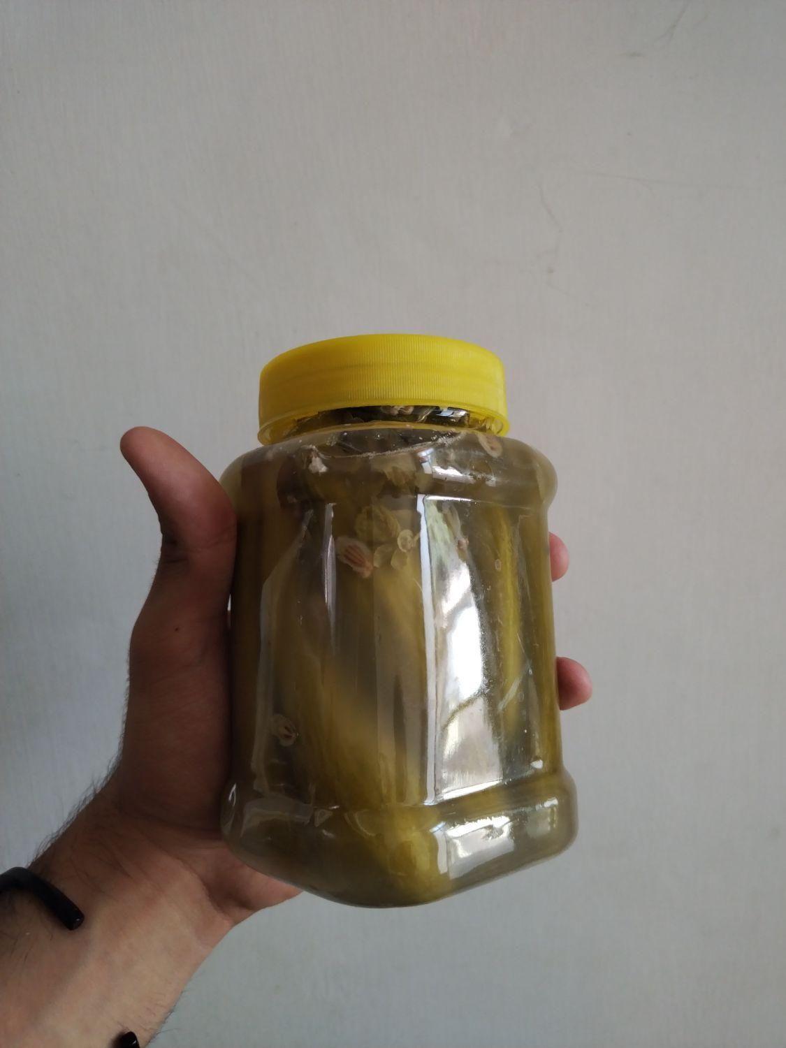 خیارشور با کیفیت درجه یک عالی (ارزان)|خوردنی و آشامیدنی|نیشابور, هفده شهریور|دیوار