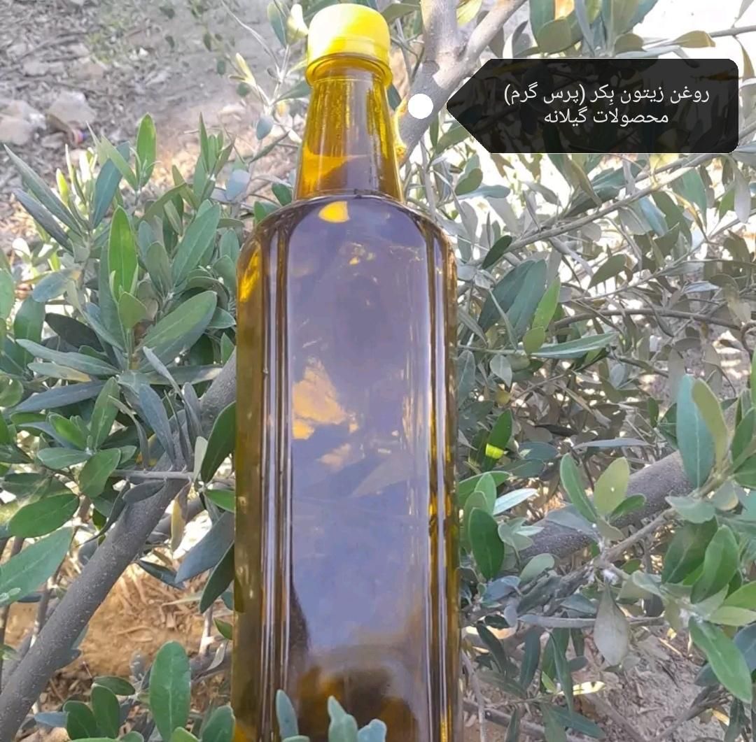 روغن زیتون بِکر و فرابکر طارم (تضمین خالصی)|خوردنی و آشامیدنی|رشت, فلسطین|دیوار