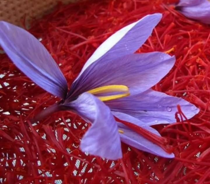زعفران|خوردنی و آشامیدنی|تهران, سعادت‌آباد|دیوار