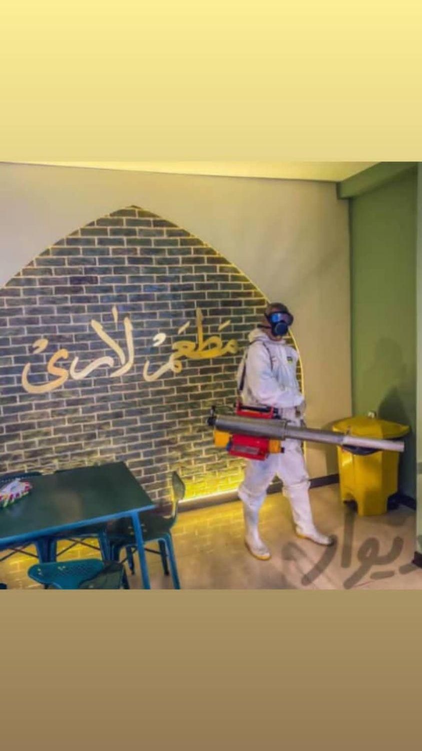 سمپاشی سوسک ساس موریانه سم پاشی شرکتی با مجوز|خدمات نظافت|هندیجان, |دیوار