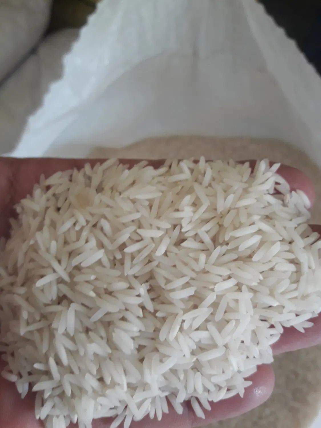برنج شیرودی|خوردنی و آشامیدنی|کرج, شهر صنعتی|دیوار
