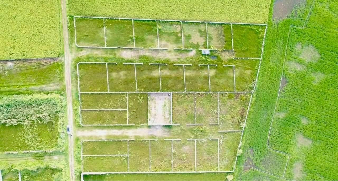 قطعه 215 متری نزدیک به خیابان اصلی|فروش زمین و ملک کلنگی|لاهیجان, لیالستان|دیوار