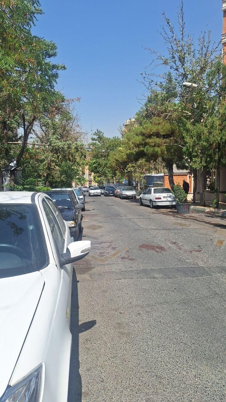 ۷۸مترتجاری تهران مجوز آرد ونان شهرک شهیدمحلاتی|فروش مغازه و غرفه|تهران, شهرک محلاتی|دیوار