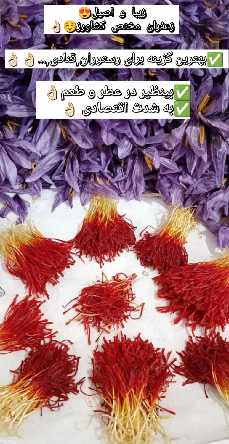 زعفران اصیل خراسان/سوپر نگین/سرگل/مستقیم از کشاورز|خوردنی و آشامیدنی|مشهد, موسوی قوچانی|دیوار