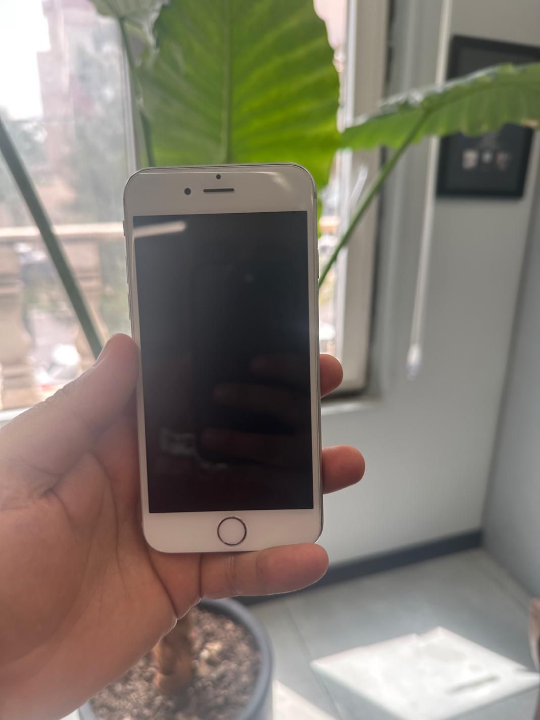 اپل iPhone 6 با حافظهٔ ۶۴ گیگابایت|موبایل|مشهد, شهرک رازی|دیوار