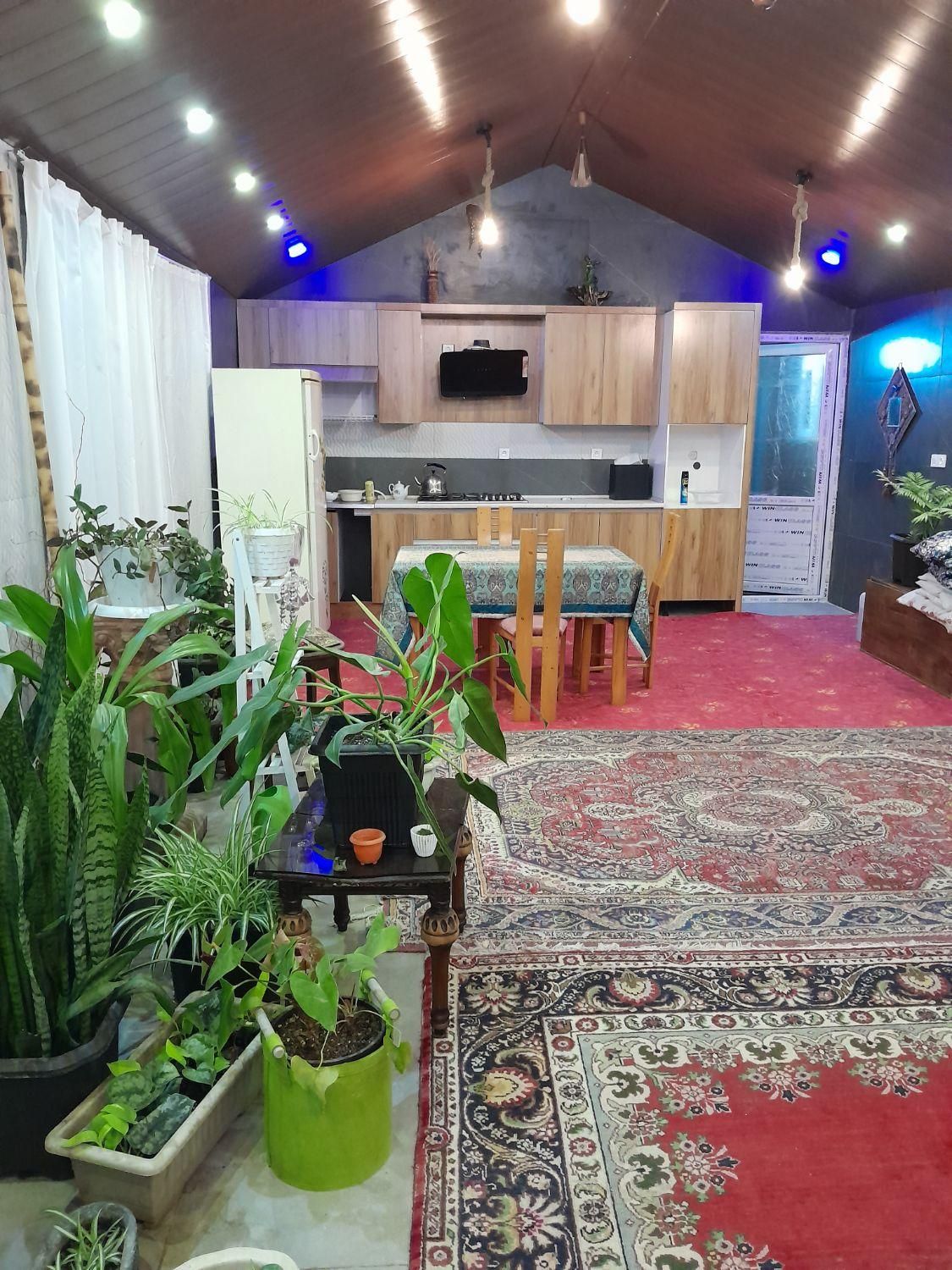 سوئیت پر از گل و گیاه و با ویو عالی|اجارهٔ کوتاه‌مدت ویلا و باغ|قائم‌شهر, |دیوار