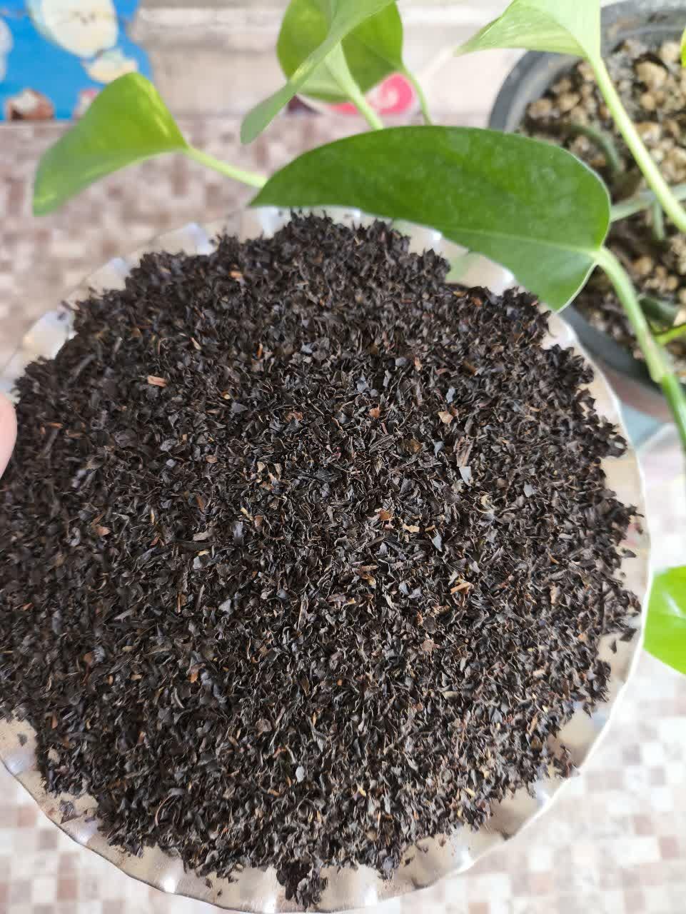 چای شمال|حراج|چهارباغ, |دیوار