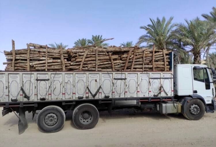 خریدار انواع درخت وچوب،هرس و برش با اره بنزینی|خدمات باغبانی و درختکاری|بندرعباس, |دیوار