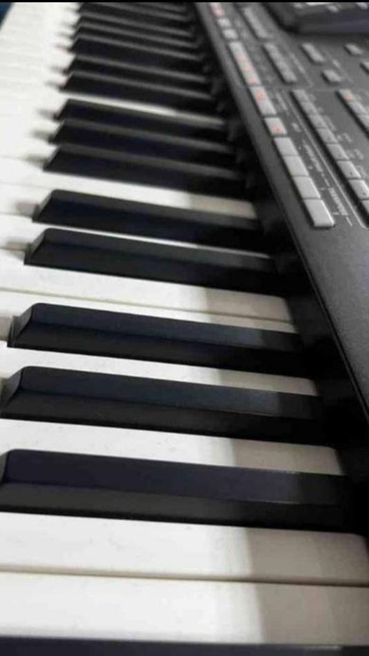 ارگ pa3x  پنج اکتاو|پیانو، کیبورد، آکاردئون|شهرکرد, |دیوار