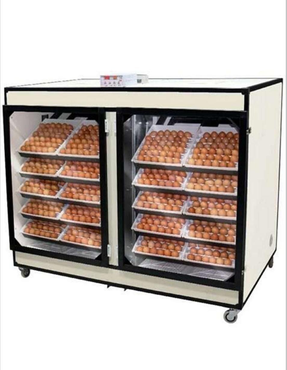 دستگاه جوجه کشی|لوازم جانبی حیوانات|اهر, |دیوار