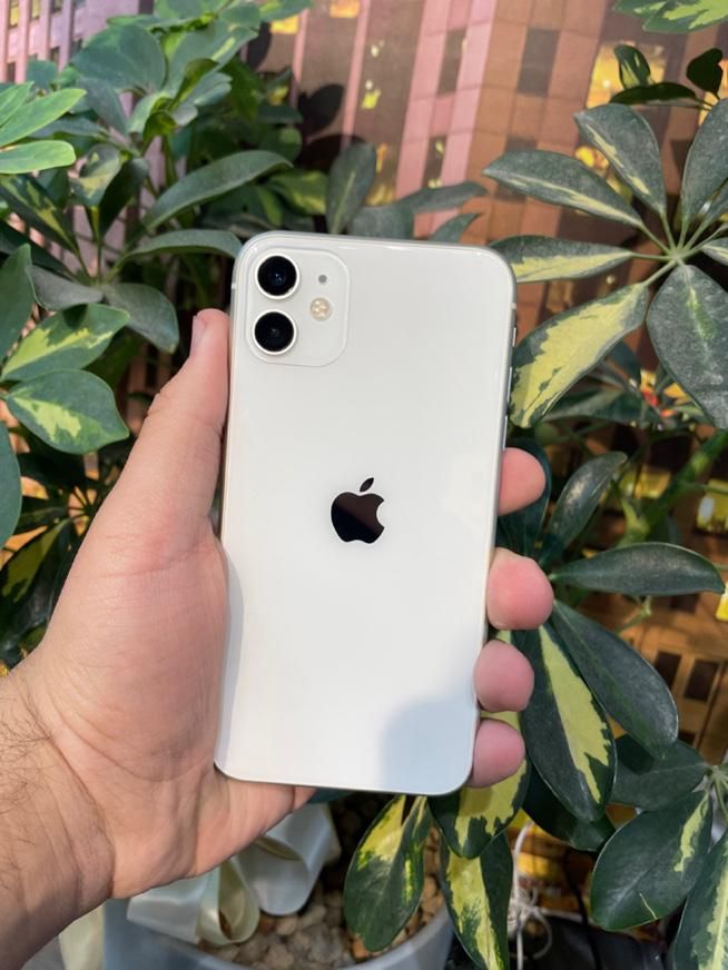 رنگ سفید  iPhone 11 ۱۲۸ گیگابایت|موبایل|تهران, اقدسیه|دیوار