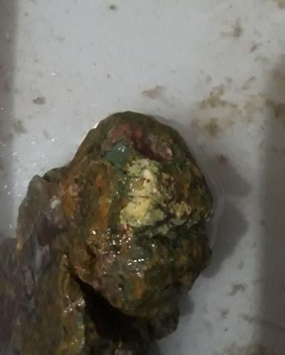 مجسمه شجر عتیقه|کلکسیون اشیاء عتیقه|اهواز, شریعتی جنوبی|دیوار