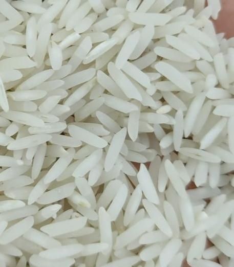 برنج سرگل شیرودی|خوردنی و آشامیدنی|زنجان, |دیوار