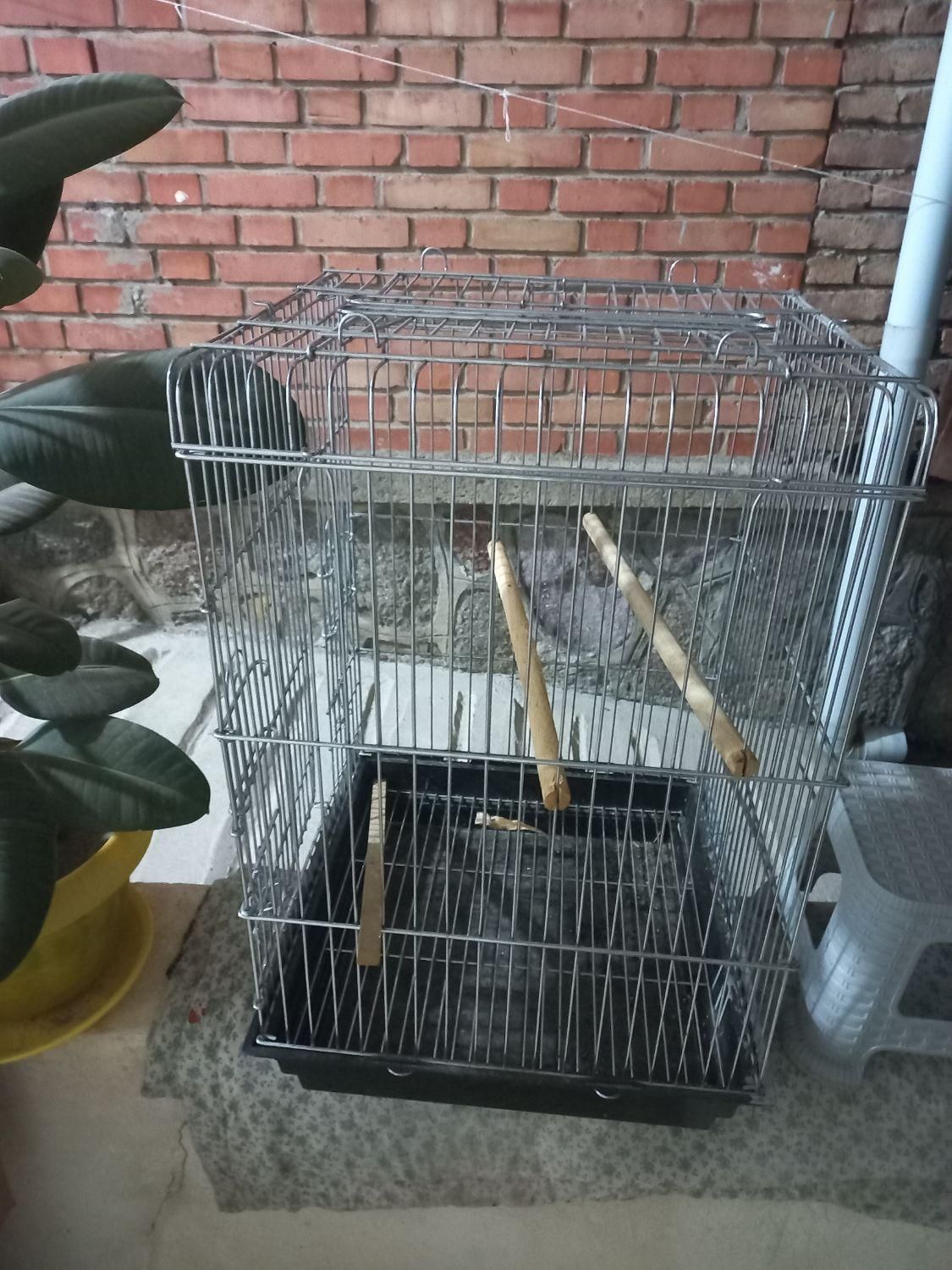 قفس|لوازم جانبی حیوانات|مشگین شهر, |دیوار