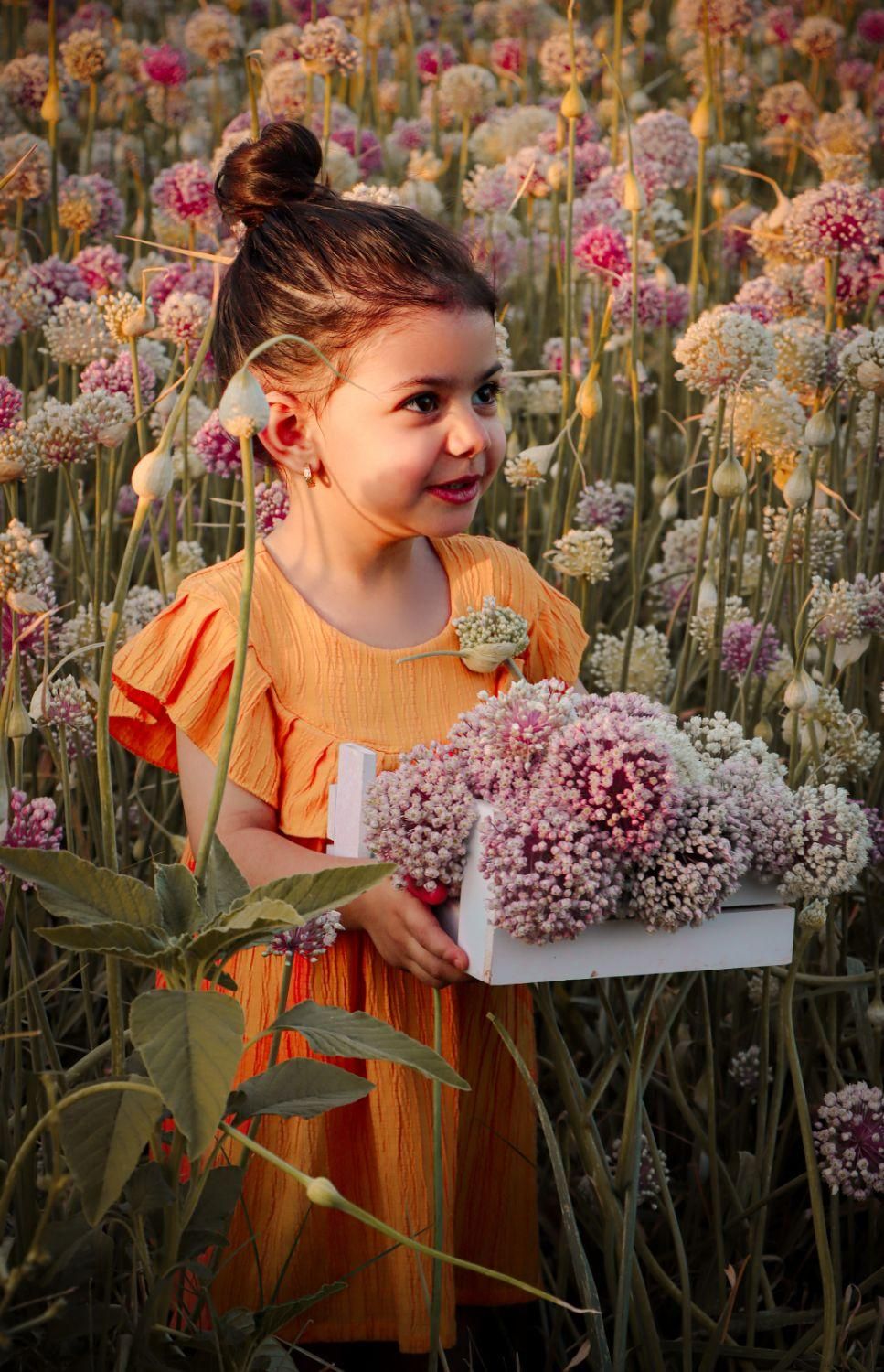 عکاسی فضای باز|خدمات پذیرایی، مراسم|اصفهان, قهجاورستان|دیوار