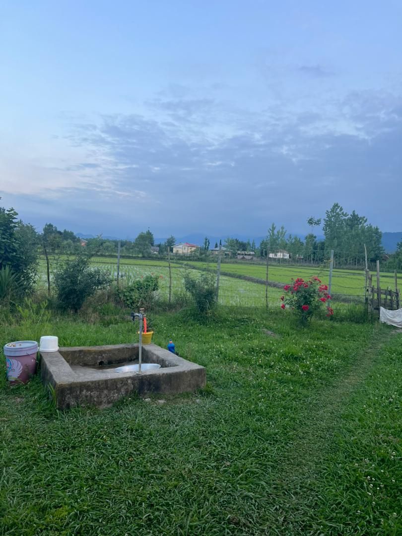 فروش زمین مسکونی ۲۷۵متری مسکونی|فروش زمین و ملک کلنگی|شاندرمن, |دیوار