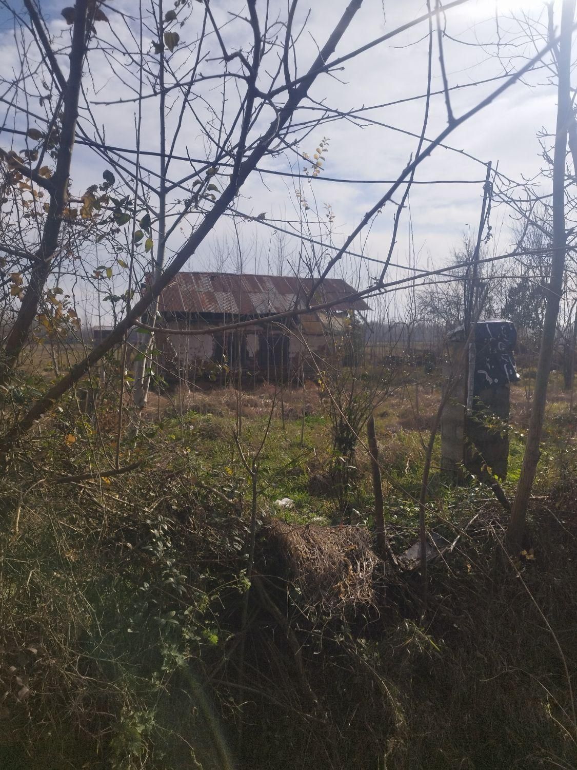 300مترزمین بابنای سنتی باامتیازبرق وآب روستایی|فروش خانه و ویلا|رضوانشهر, |دیوار