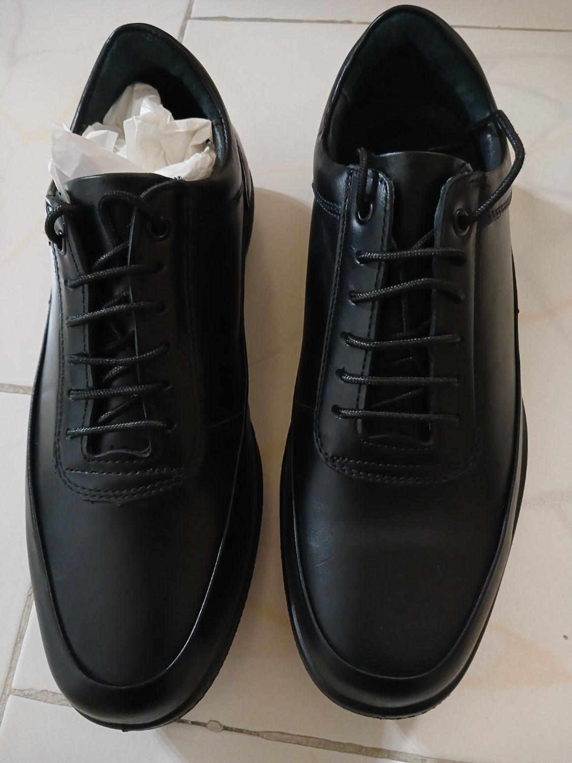 کفش چرم طبیعی سایز ۴۰|کیف، کفش، کمربند|مشکیندشت, |دیوار