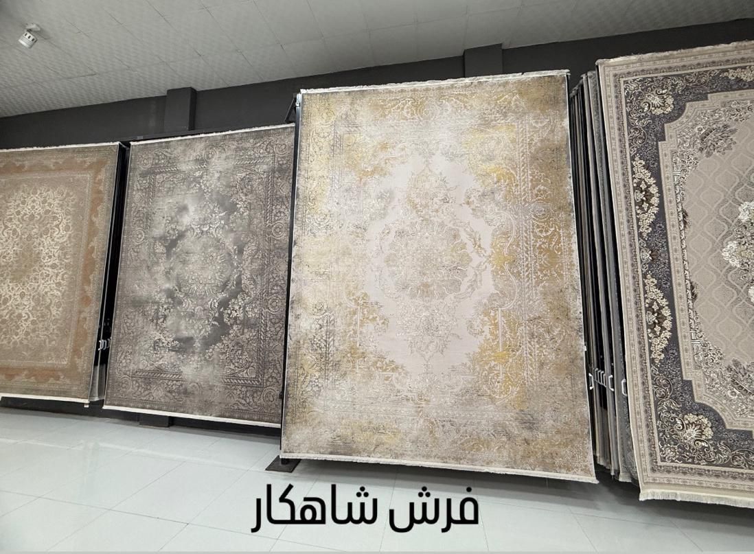 فرش خلیج فارس ۱۲۰۰شانه نخ مخمل تاپس|فرش|شیراز, شهرک سراج‎|دیوار