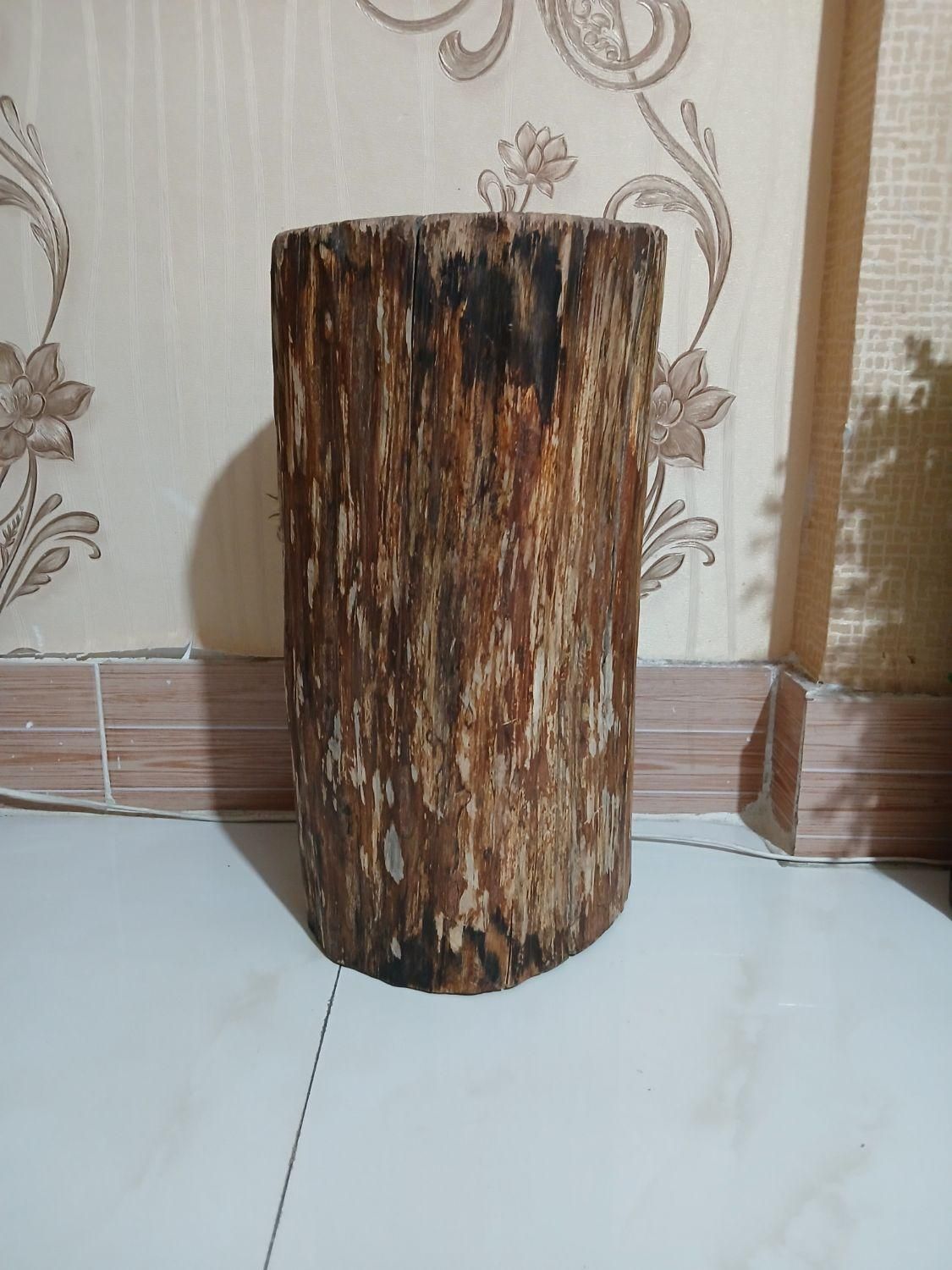 تنه درخت|گل و گیاه طبیعی|مشهد, ارمغان|دیوار