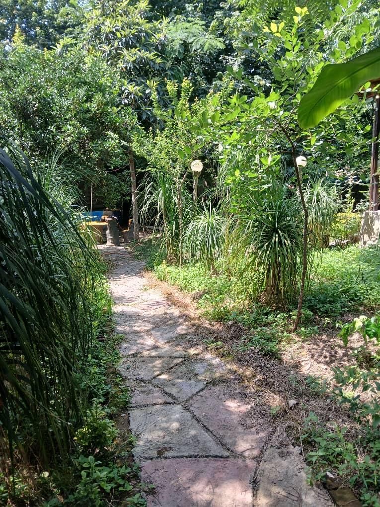 فروش ویلا باغ 1000 متری با باغ مرکبات بینظیر|فروش خانه و ویلا|امامزاده عبدالله, |دیوار