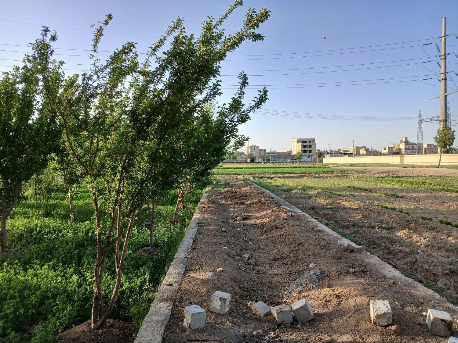 زمین باغی ، باغ ، زمین کشاورزی|فروش زمین و ملک کلنگی|اصفهان, خرم|دیوار