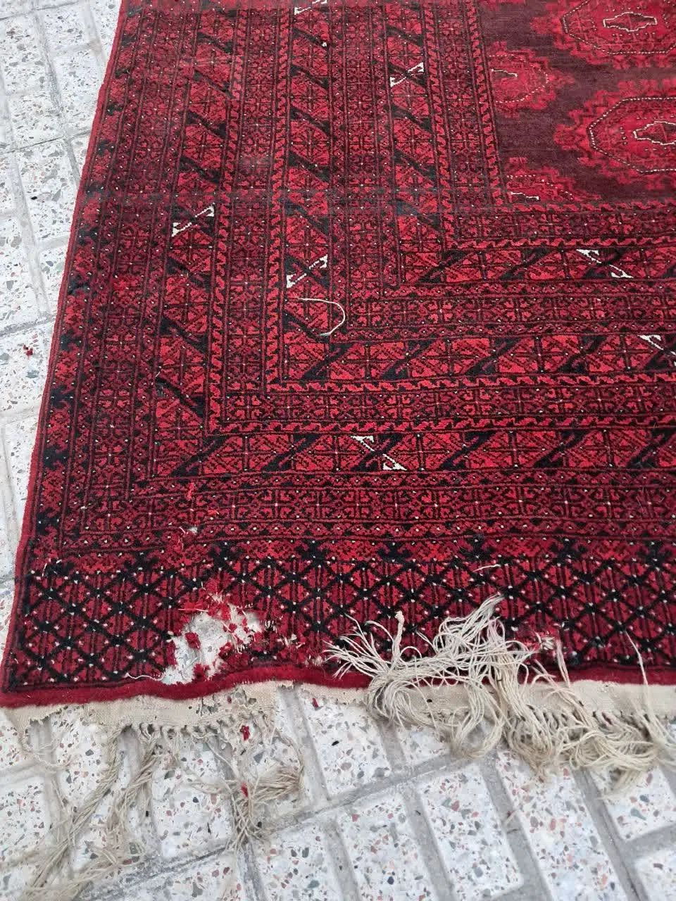 فرش دستباف افغان|فرش|مشهد, احمدآباد|دیوار