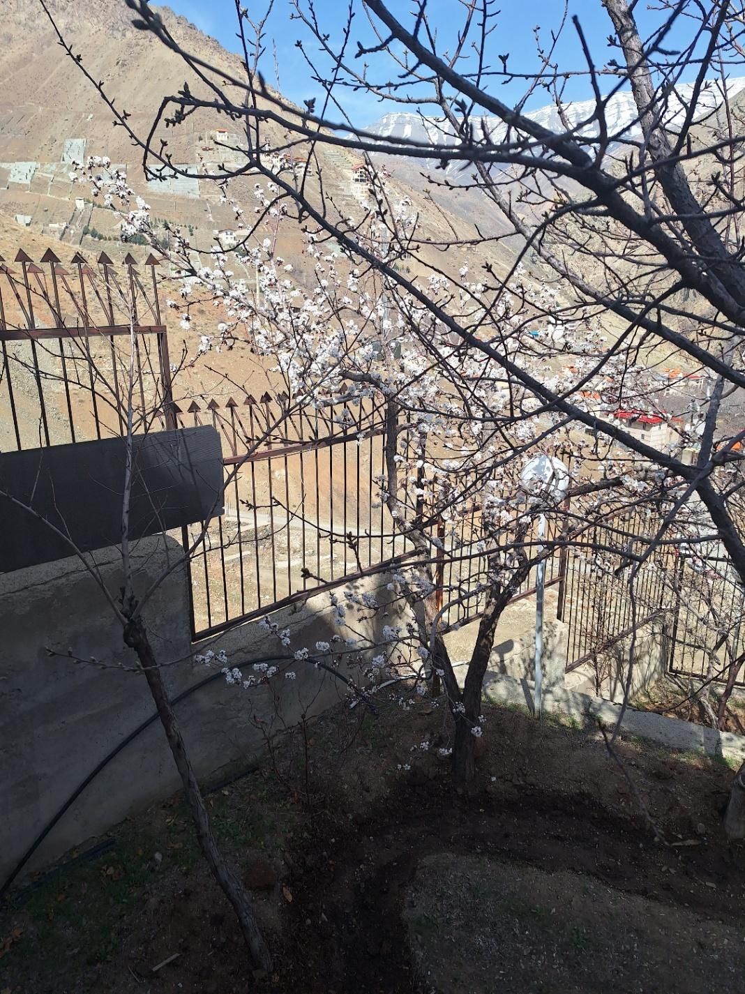 باغ ویلا دهستان رندان|فروش خانه و ویلا|تهران, کن|دیوار