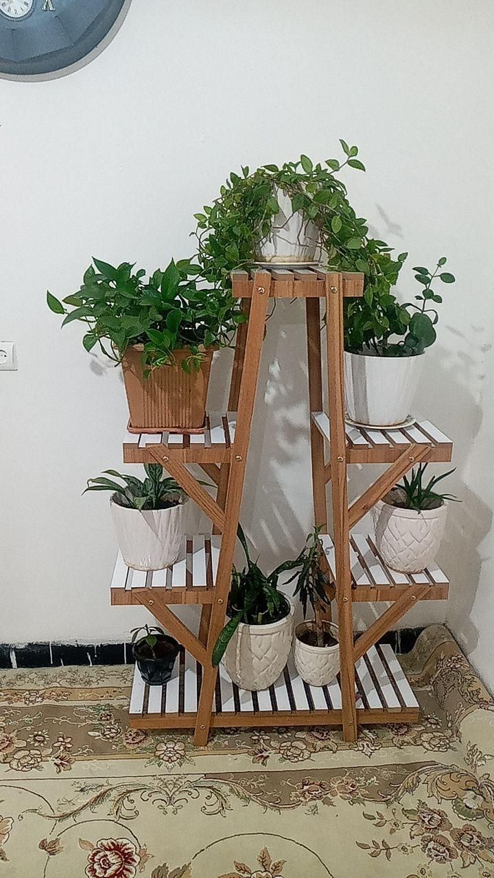 استند گل|گل و گیاه طبیعی|ایلام, |دیوار