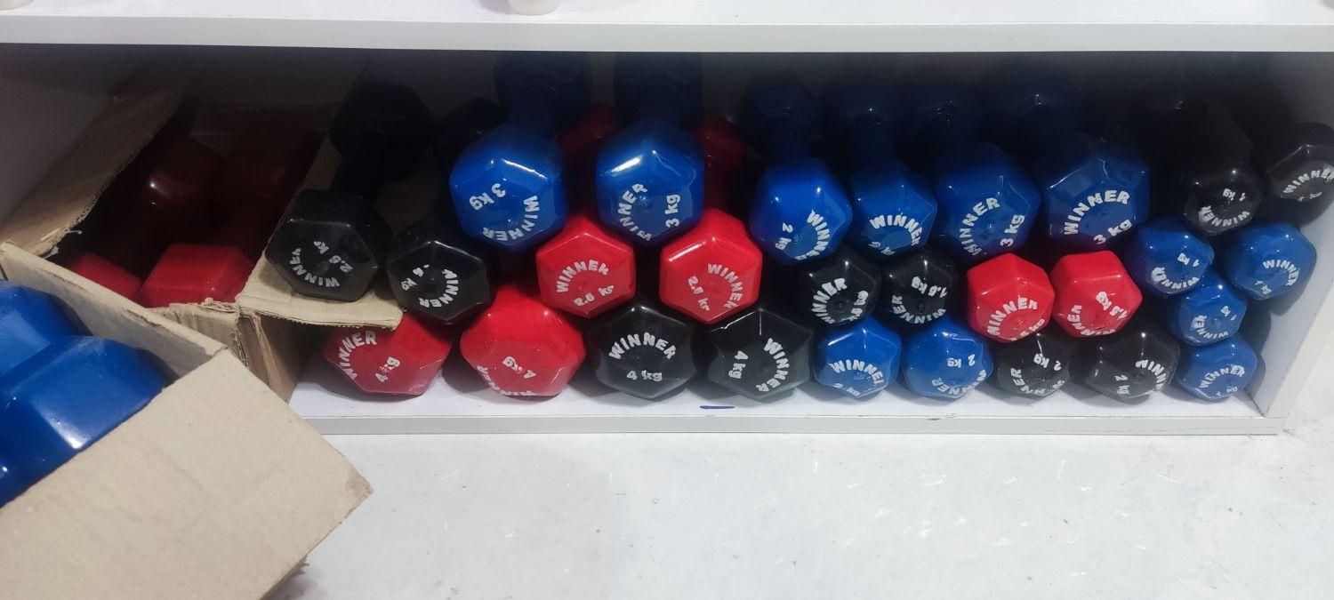 دمبل|تجهیزات ورزشی|رشت, ساغری سازان|دیوار