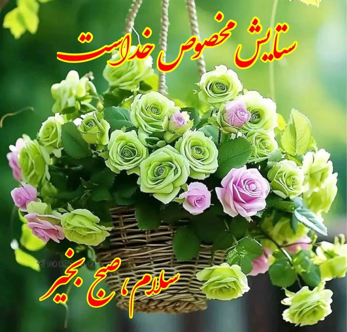 خواندن نماز های قضای گذشتگان شما عزیزان|فعالیت داوطلبانه|مشهد, صیاد شیرازی|دیوار