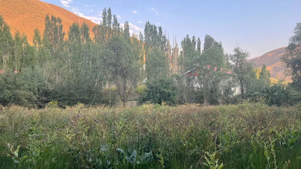 زمین در جاده چالوس آزادبر قطعه ای از بهشت|فروش زمین و ملک کلنگی|آسارا, |دیوار