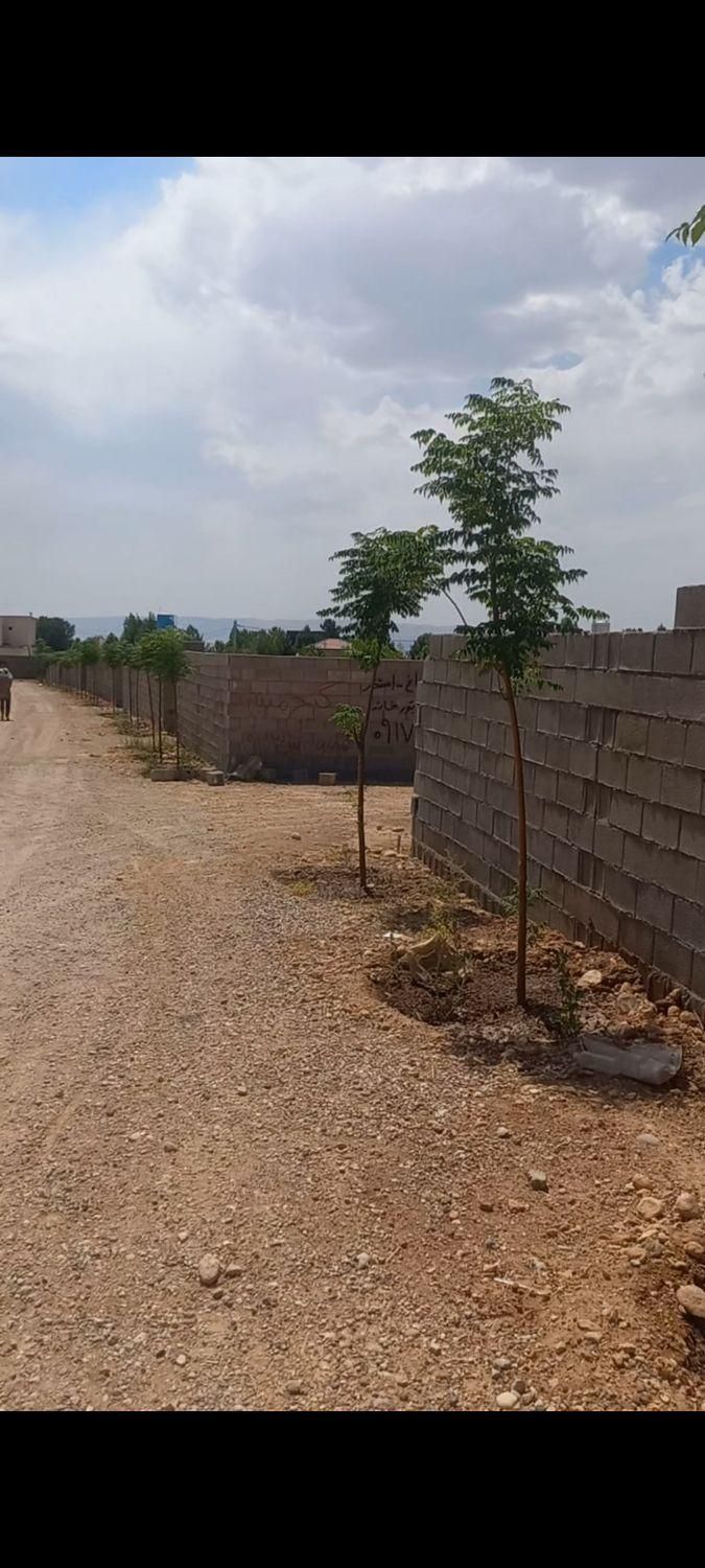 پلاک ۱۰۰۰ متری باغی سر دونبش کوچه دو راهی کودیان|فروش زمین و ملک کلنگی|شیراز, کودیان|دیوار