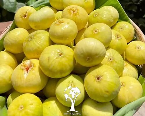 انجیر آفتاب خشک  و مربای انجیر زعفرانی|خوردنی و آشامیدنی|تهران, گیشا|دیوار