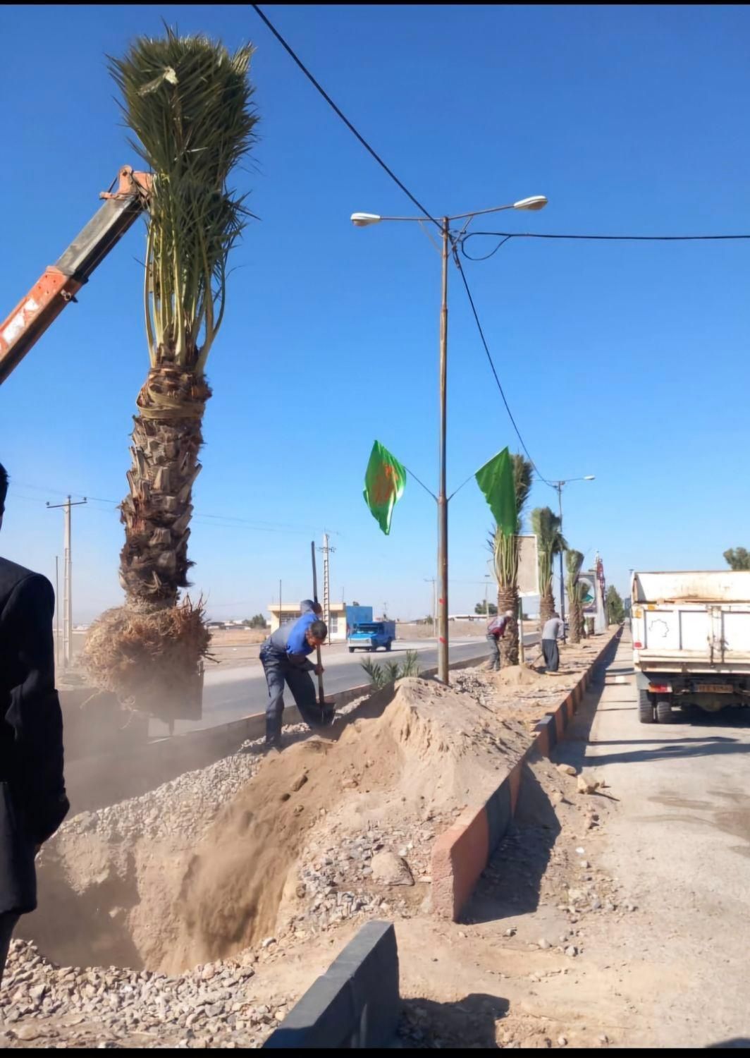 شهر کرد زیباتر با پالم نخل فنیکس تولید کننده رسمی|خدمات باغبانی و درختکاری|شهرکرد, |دیوار