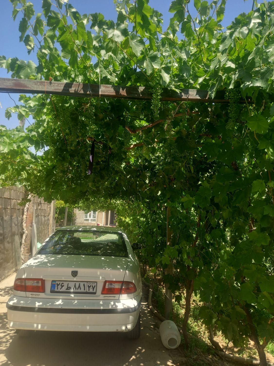 فروش زمین ۱۰۱۳ متری|فروش زمین و ملک کلنگی|باروق, |دیوار