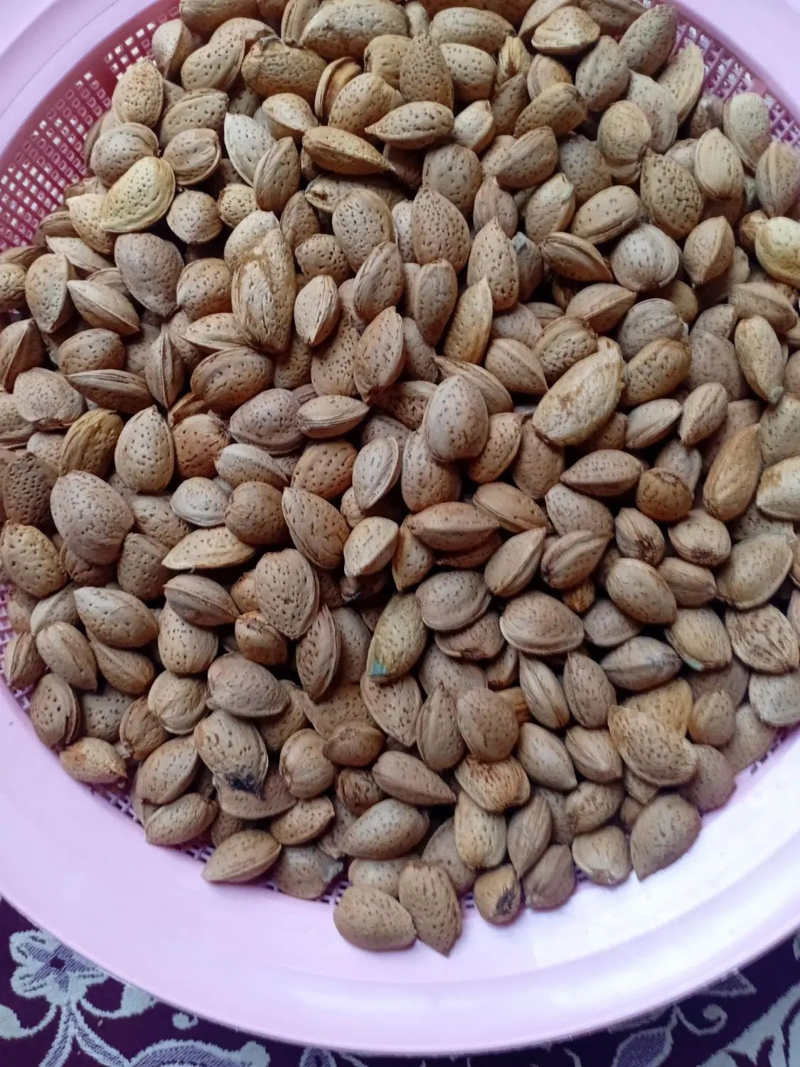 بادام امسال|خوردنی و آشامیدنی|تهران, ارم|دیوار