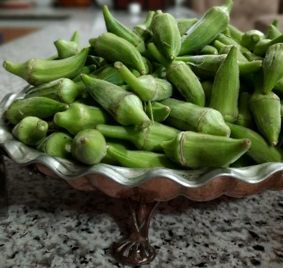 بامیه|خوردنی و آشامیدنی|اصفهان, بابوکان|دیوار