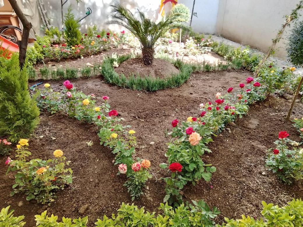 خدمات باغبانی و باغچه کار و تعویض گلدان|خدمات باغبانی و درختکاری|تهران, اختیاریه|دیوار