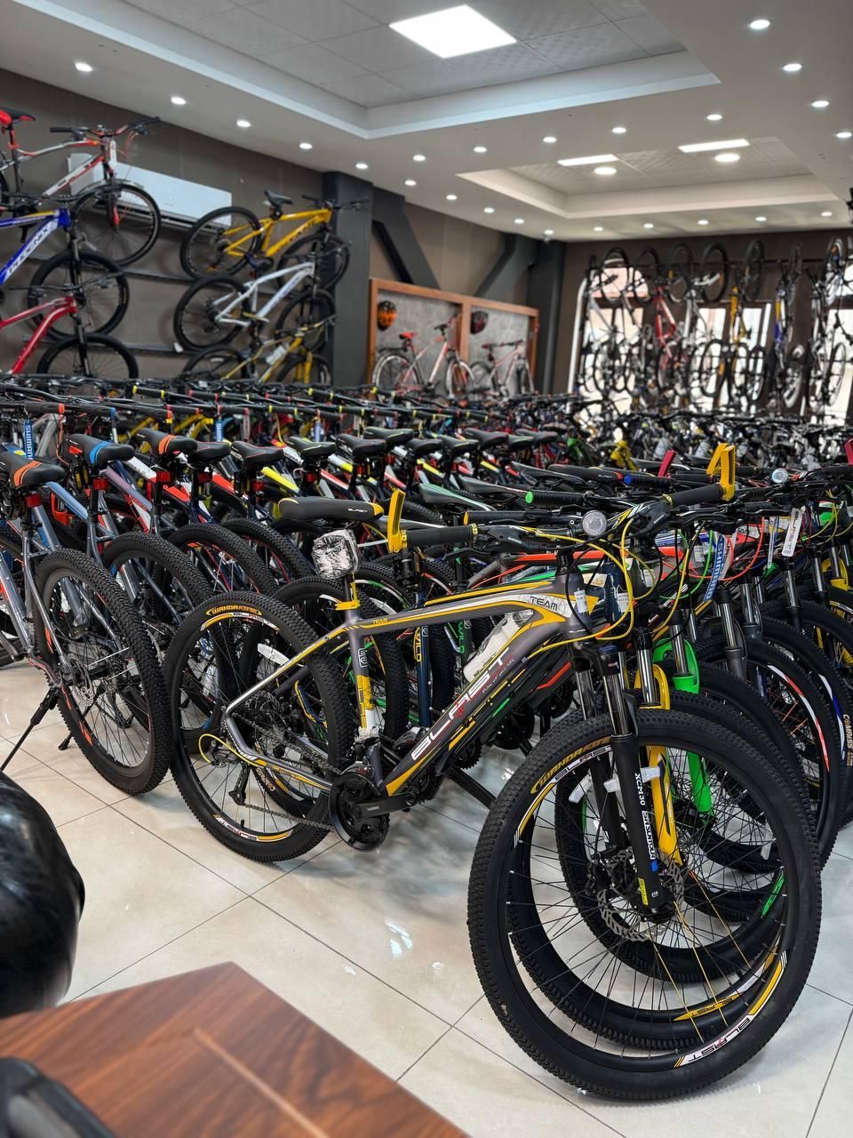 انواع دوچرخه حرفه ای با اقساط ۱ تا ۶ماه بدون سود|دوچرخه، اسکیت، اسکوتر|رشت, گلسار|دیوار