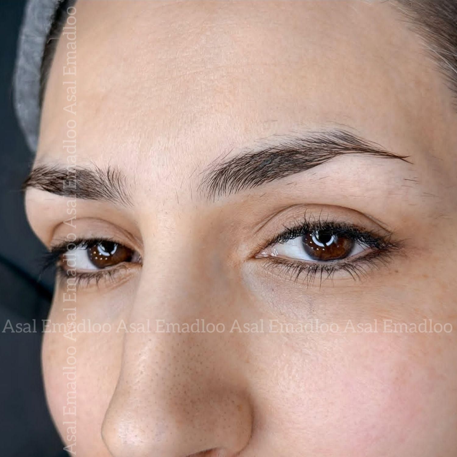 میکروبلیدینگ دوره آموزشی صفرتاصد آرایش دائم/فیبروز|خدمات آرایشگری و زیبایی|مشهد, سجاد شهر|دیوار