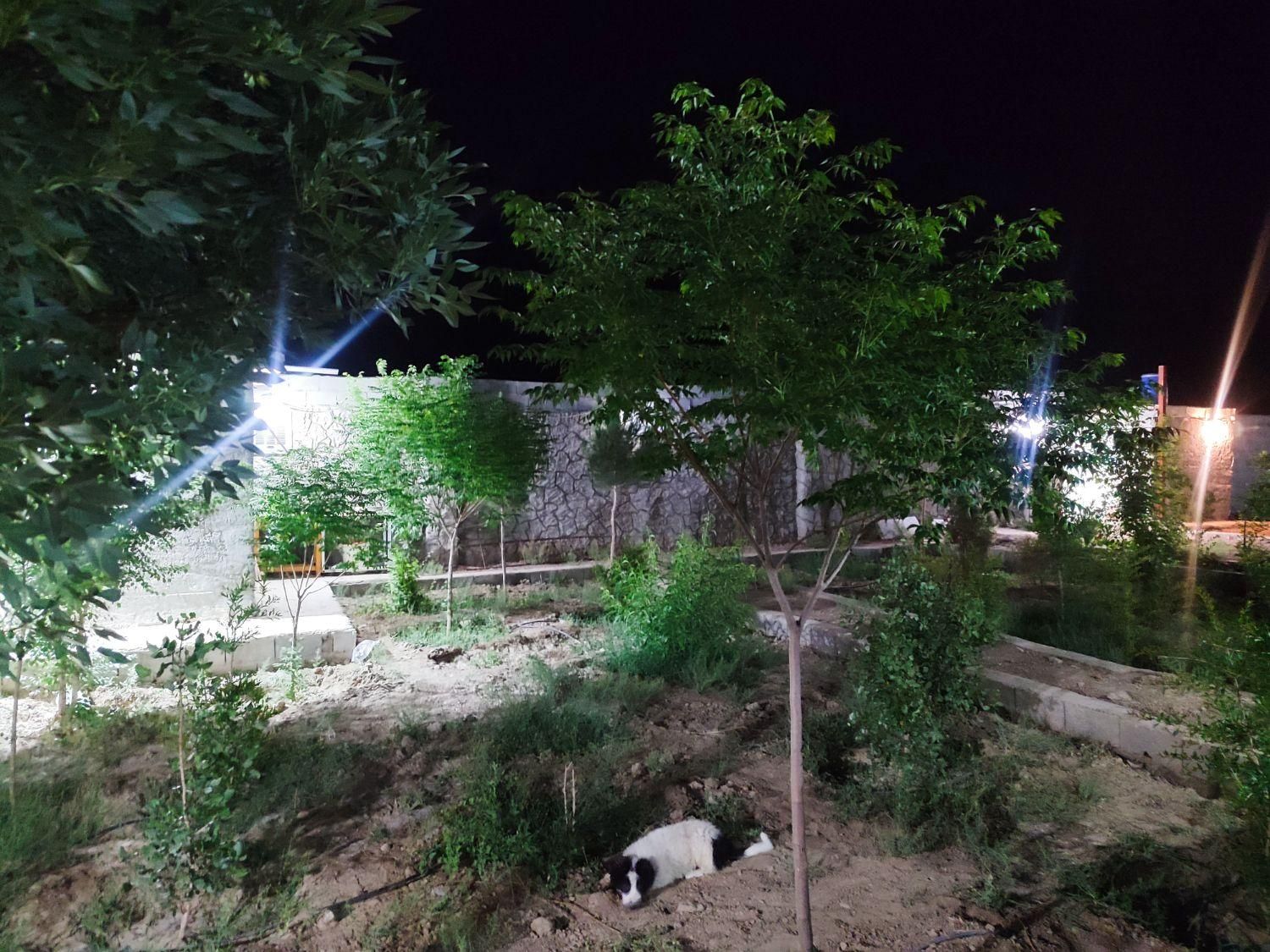 چهار دیواری ۸۰۰ متری روستای تمیارت|فروش دفتر صنعتی، کشاورزی، تجاری|اصفهان, براآن شمالی|دیوار