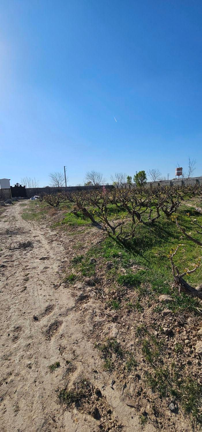 فروش زمین ویلایی ۴۰۰ متری شاهد شهر منجیل آباد|فروش خانه و ویلا|رباطکریم, منجیل آباد|دیوار