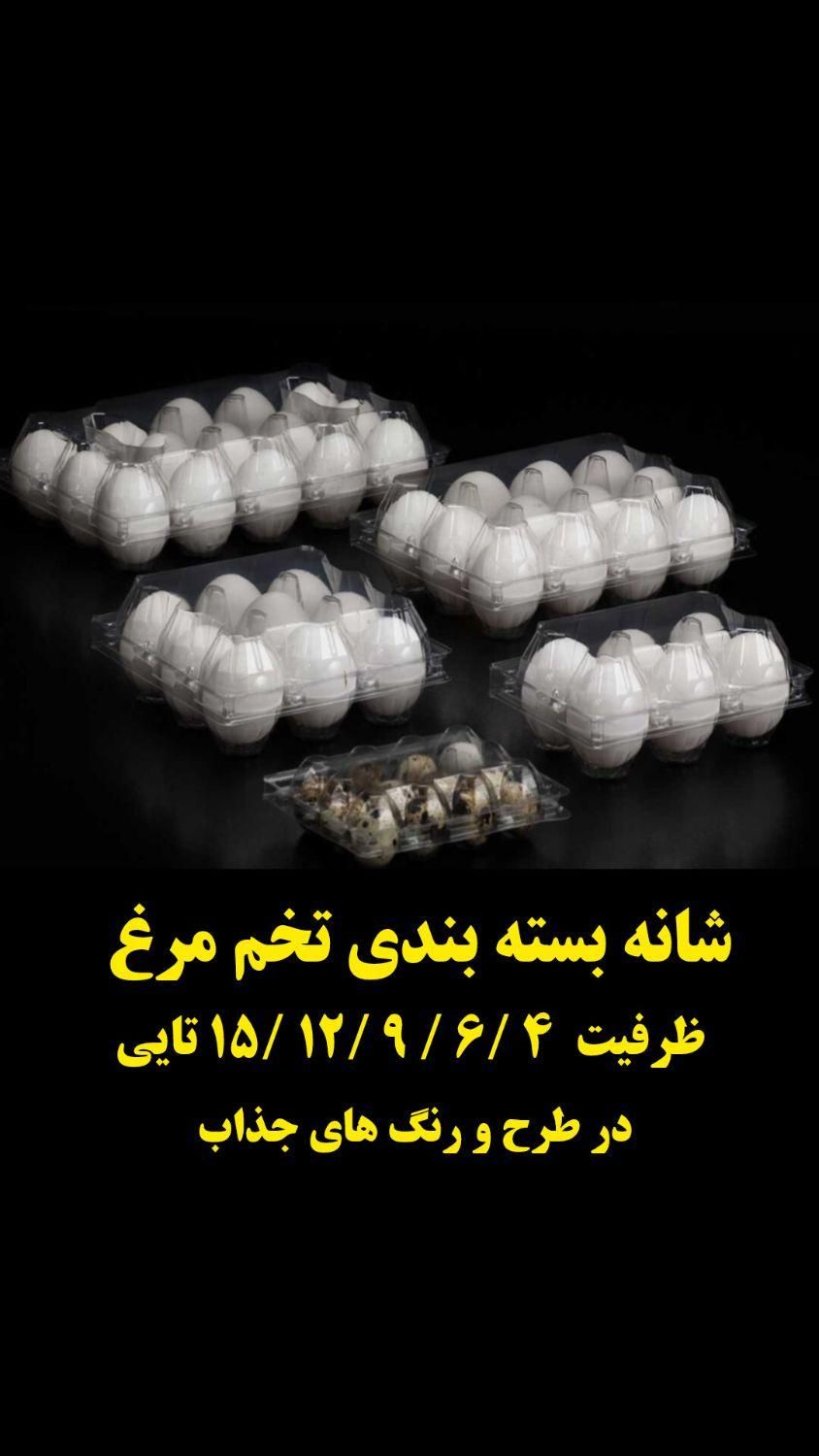 ظرف بسته‌بندی شانه تخم مرغ بلدرچین کبک|لوازم جانبی حیوانات|شیراز, رکن‌آباد|دیوار