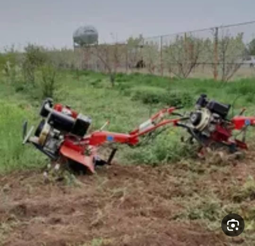 علف زنی وپاکنی باغهاوباغچها وگلخانها|خدمات باغبانی و درختکاری|صدرا-فارس, |دیوار