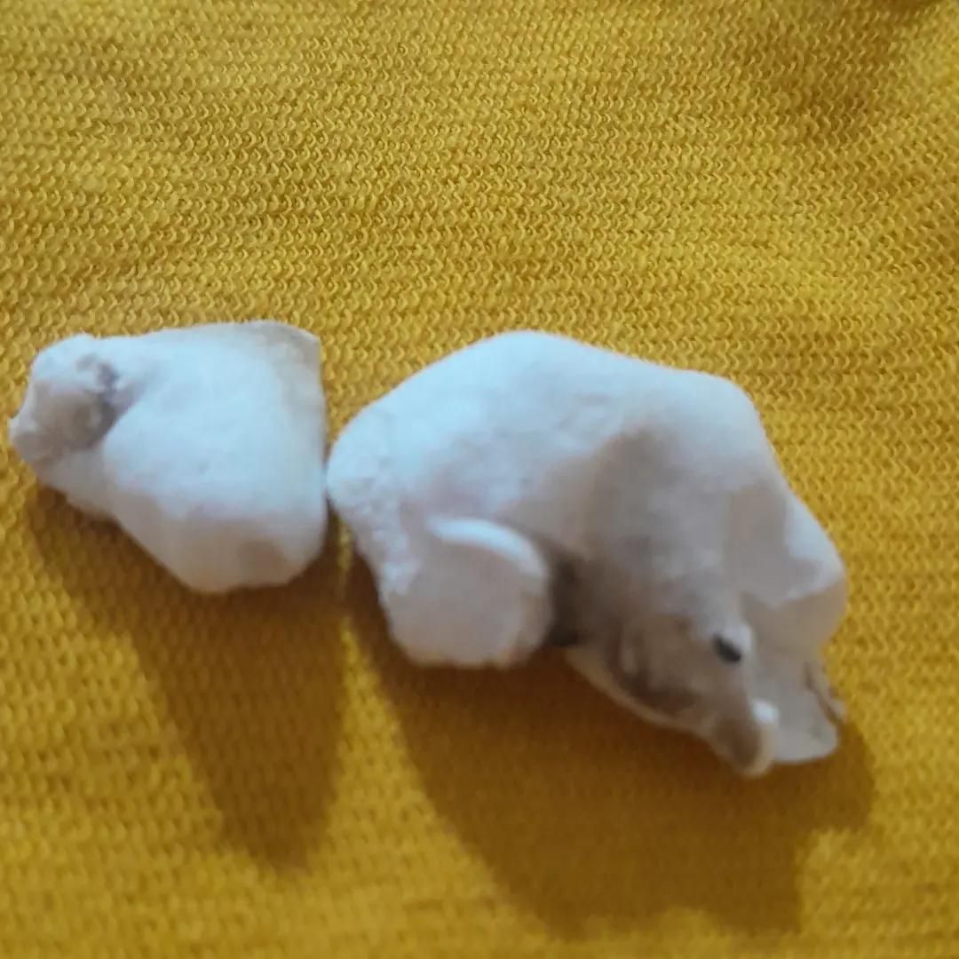 استخاره قرآن.|خدمات پذیرایی، مراسم|بم, |دیوار